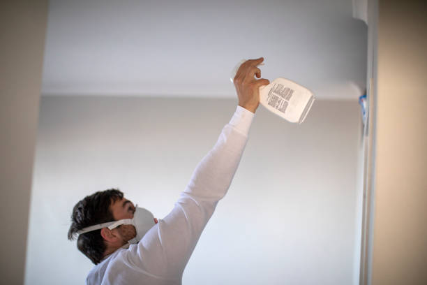 Best Office Mold Removal Services  in Grimes, IA